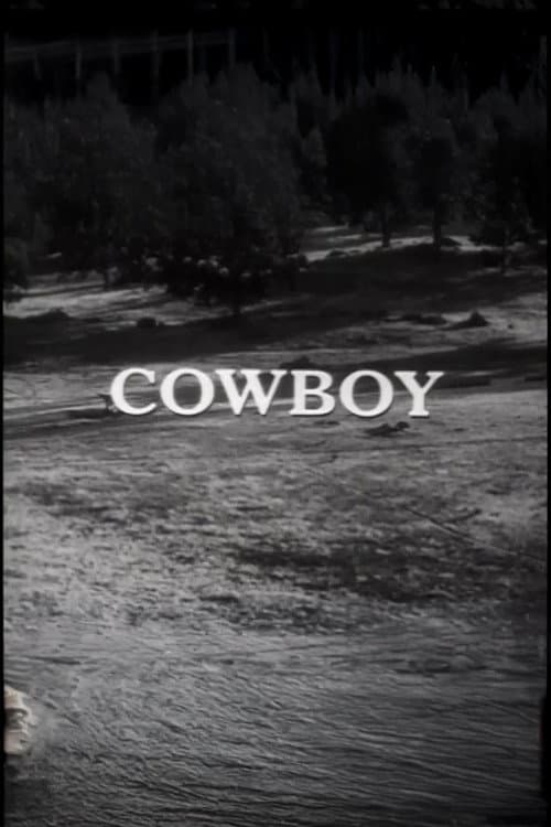 Cowboy poster