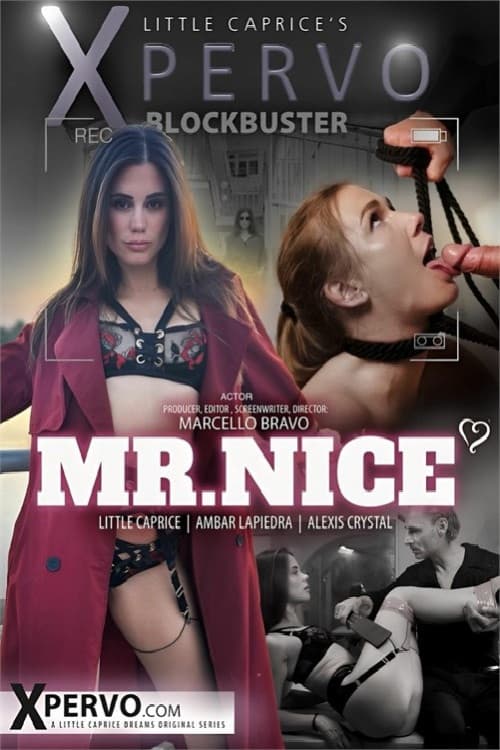 Mr. Nice poster