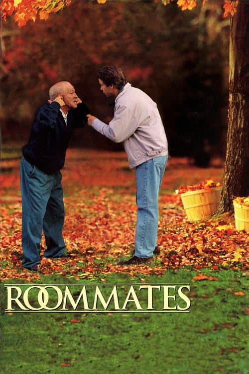 Roommates poster