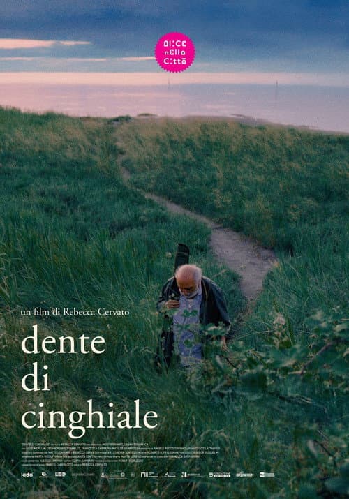 Dente di cinghiale poster