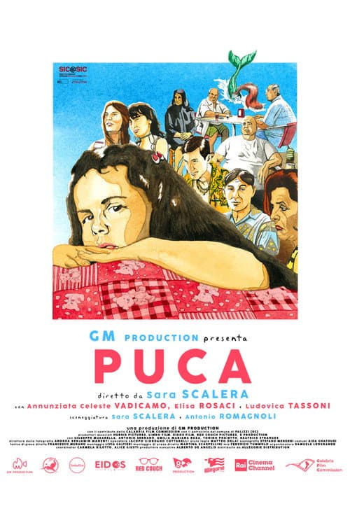Puca poster