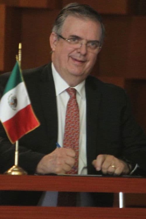 Marcelo Ebrard profile photo