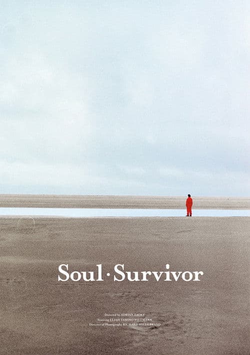 Soul Survivor poster