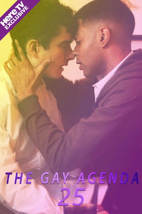 The Gay Agenda 25 poster