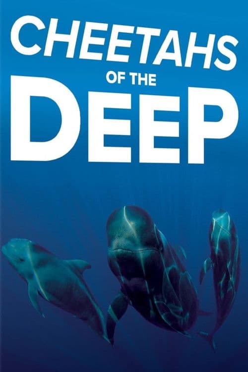 Cheetahs of the Deep poster