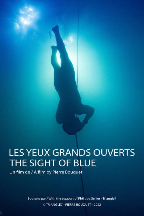 The sight of the blue poster