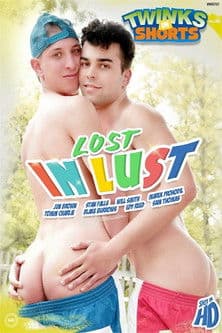 Lost in Lust poster