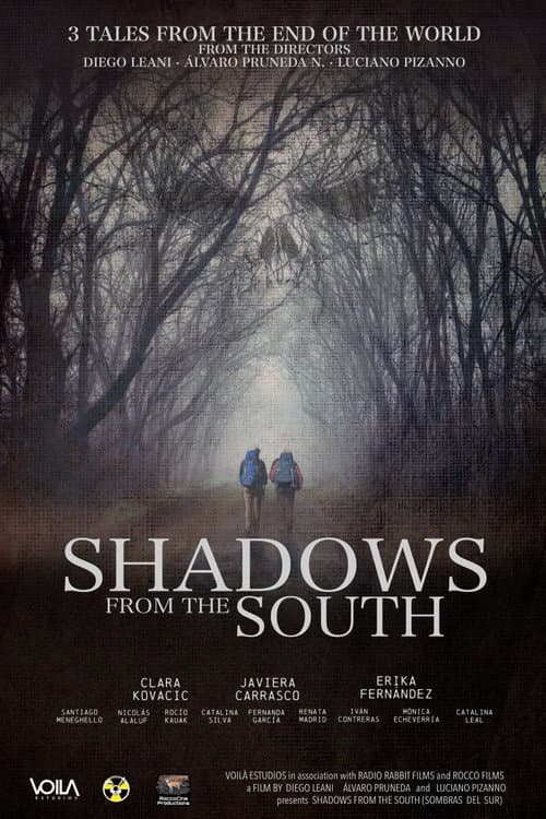 Shadows From The South poster