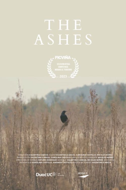 The Ashes