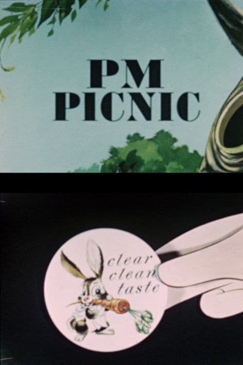 PM Picnic poster