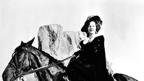 Revenge of the Pirates poster