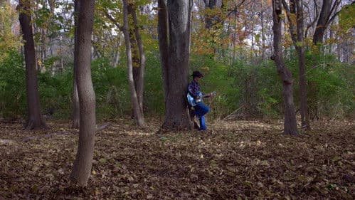 The Devil Went Down to Georgia poster