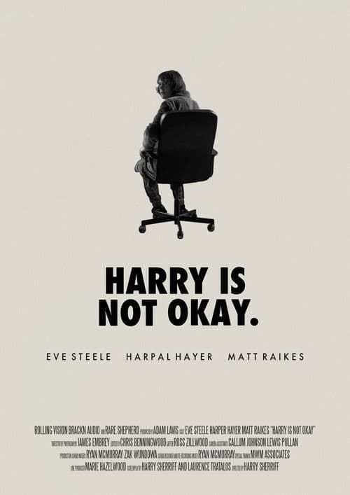 Harry Is Not Okay poster