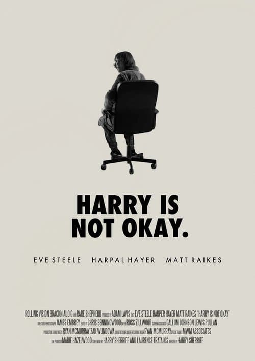 Harry Is Not Okay poster