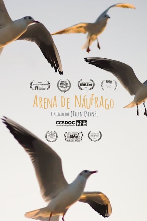 Arena de Náufrago poster