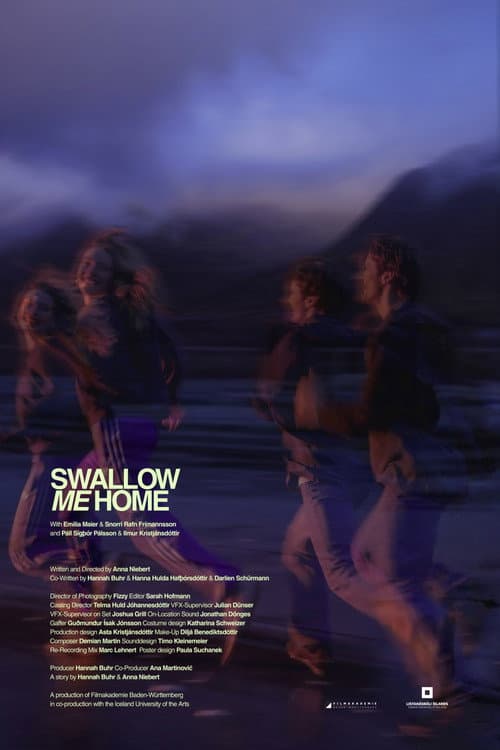 Swallow me home poster