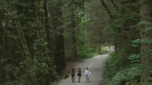 You Hide in Hope poster