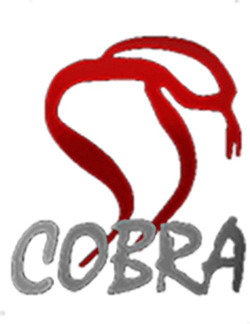 Cobra Film Department