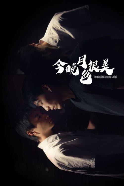 The Moonlight is Shining Tonight poster