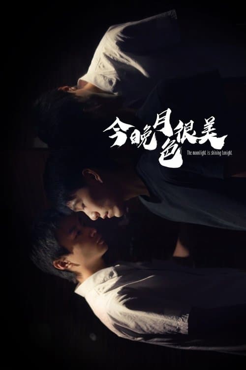 The Moonlight is Shining Tonight poster