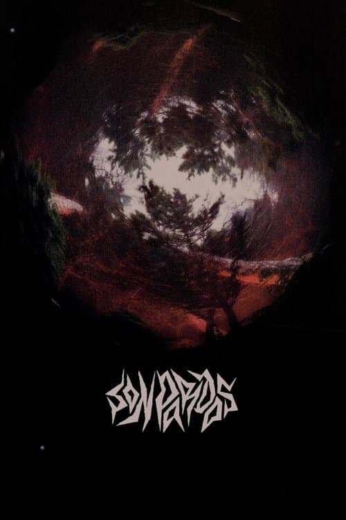 Grey at Night poster