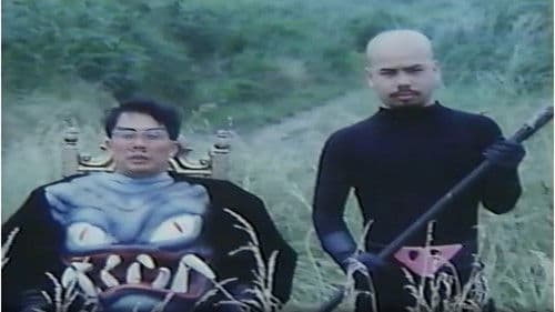 Abnormal Excitement: Nao Saejima poster