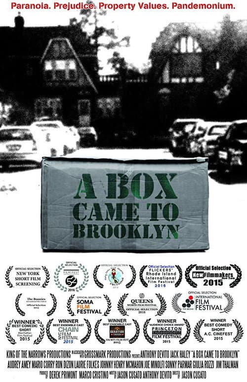 A Box Came to Brooklyn poster