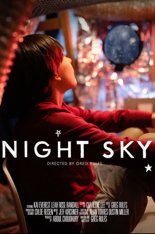 Night Sky poster