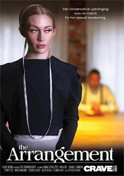 The Arrangement poster