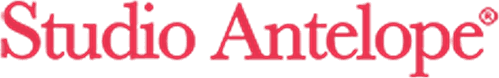 Studio Antelope