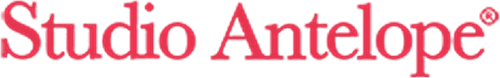 Studio Antelope