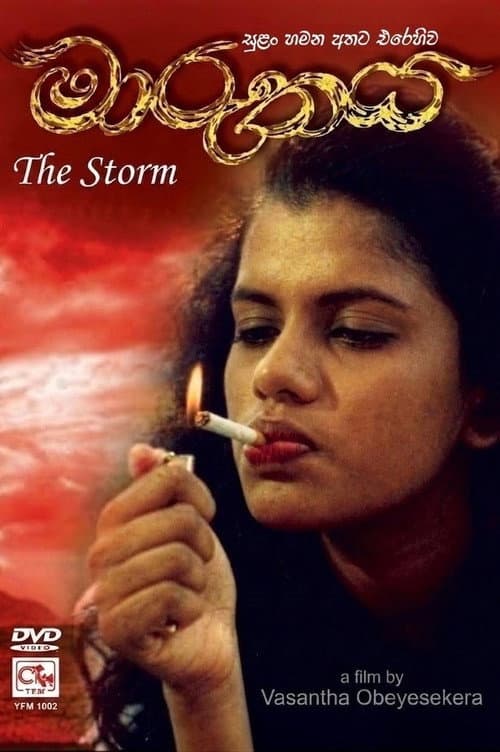 The Storm poster