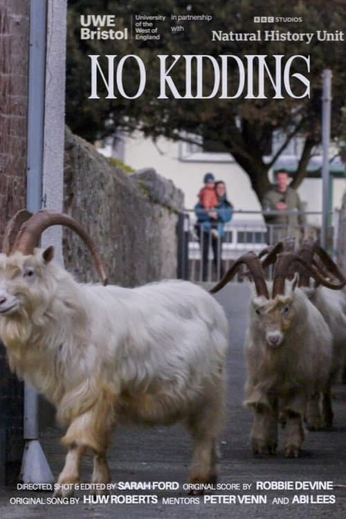 No Kidding poster