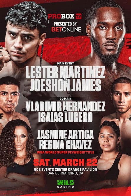 Lester Martinez vs. Joeshon James poster