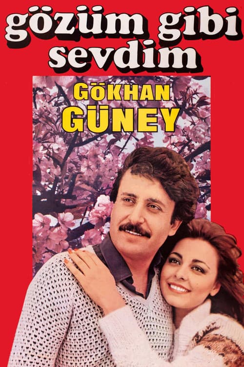 Gözüm Gibi Sevdim poster