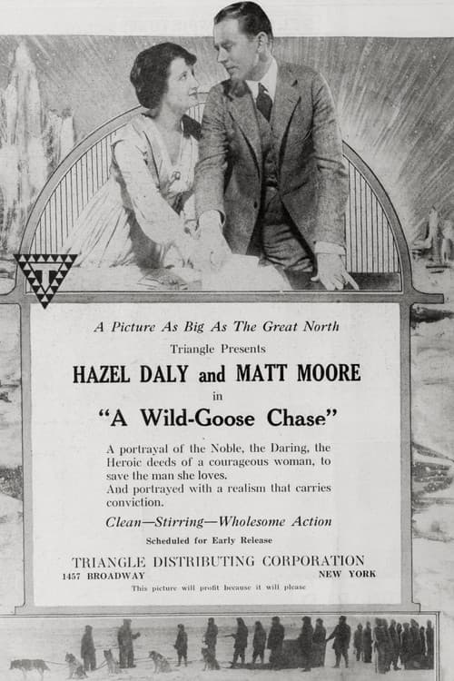 A Wild Goose Chase poster