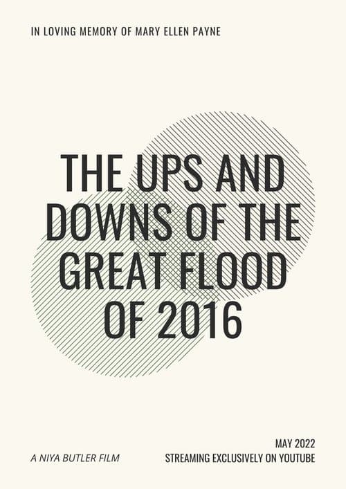 The Ups and Downs of the Great Flood of 2016 poster