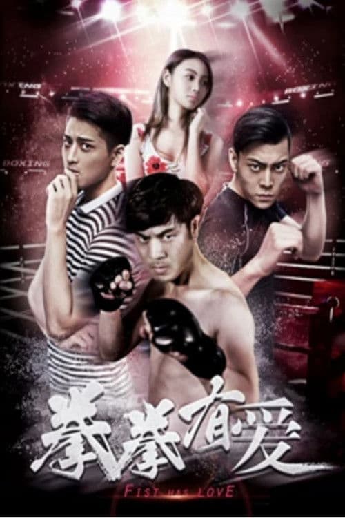 Fist Has Love poster