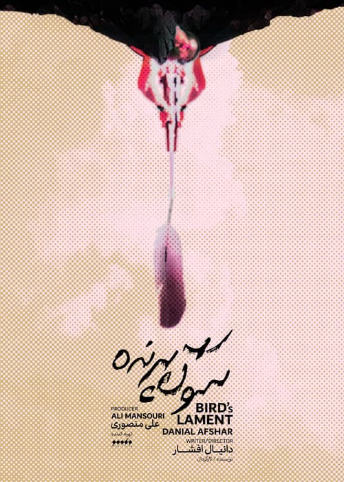 Bird's Lament poster