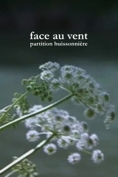 Face au vent, partition buissonnière poster