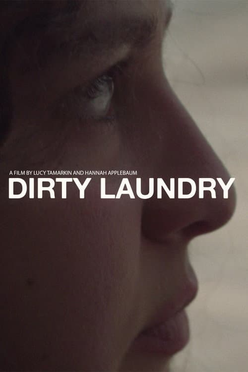 Dirty Laundry poster