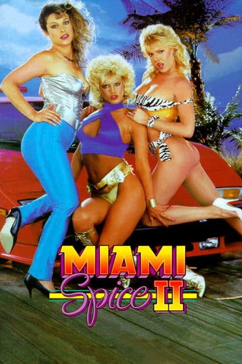Miami Spice II poster