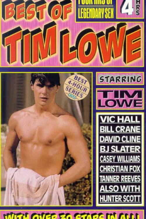 Best of Tim Lowe poster