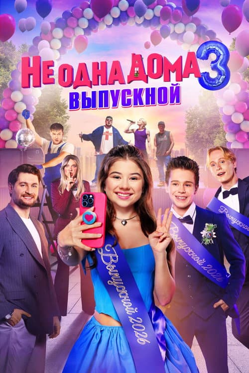 Home Not Alone 3 poster