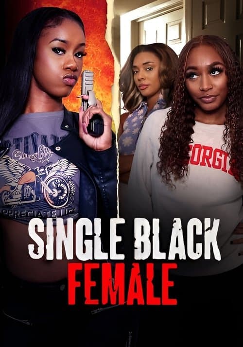 Single Black Female poster