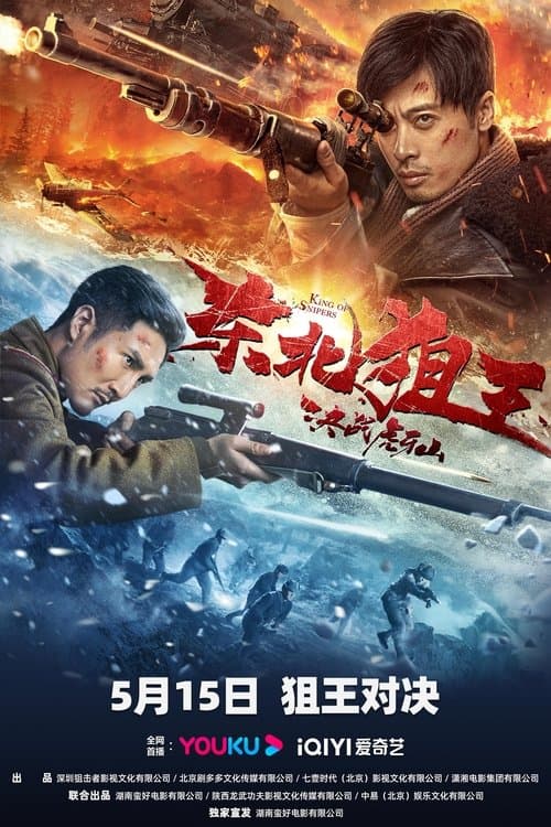 The King of Sniper in Northeast poster