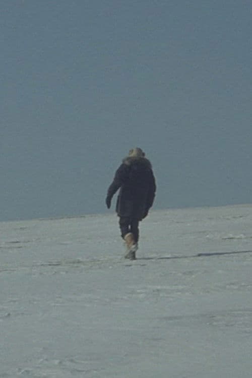 Une Histoire de Cheveux (Sibérie) poster