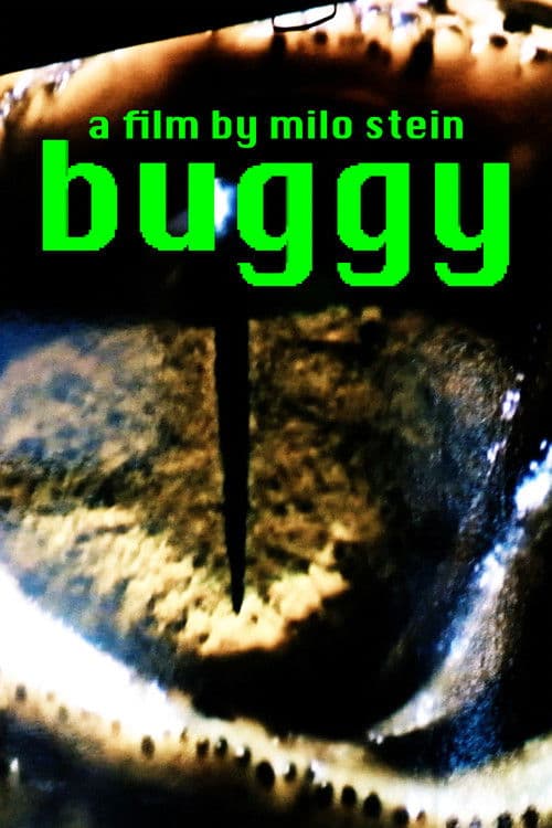 buggy poster