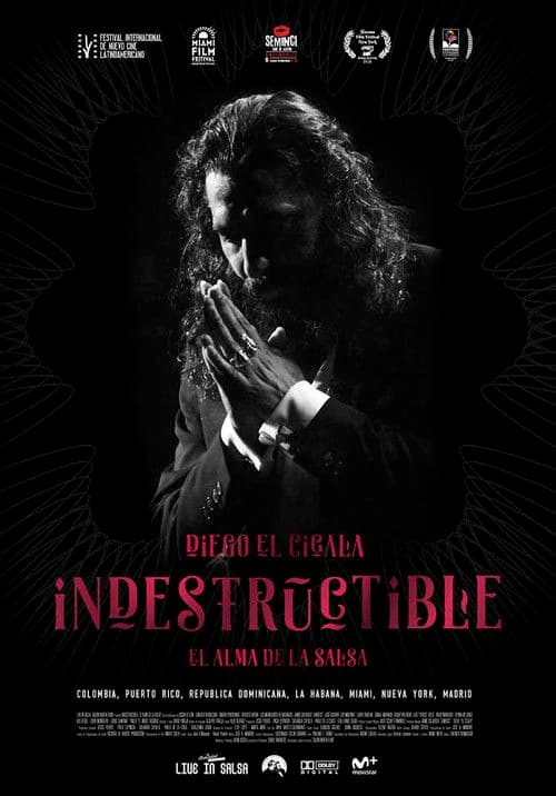 Indestructible: El alma de la salsa poster