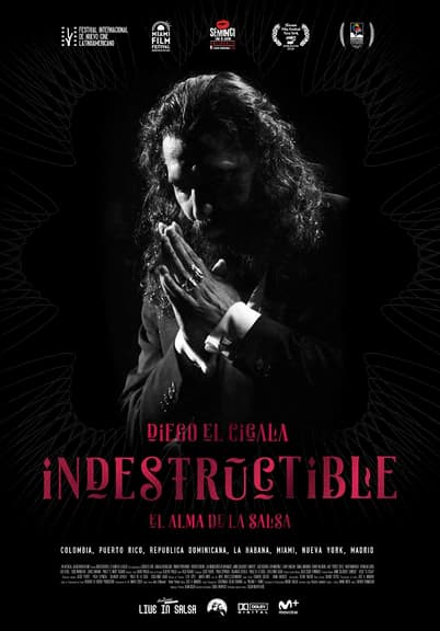 Indestructible: El alma de la salsa poster